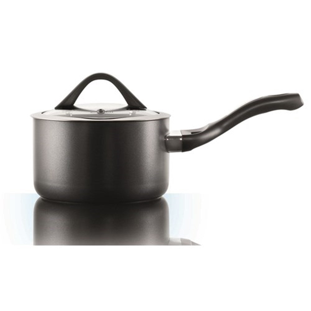 Hard anodised saucepan with lid and bakelite handle vegetables on gray surface - Baccarat
