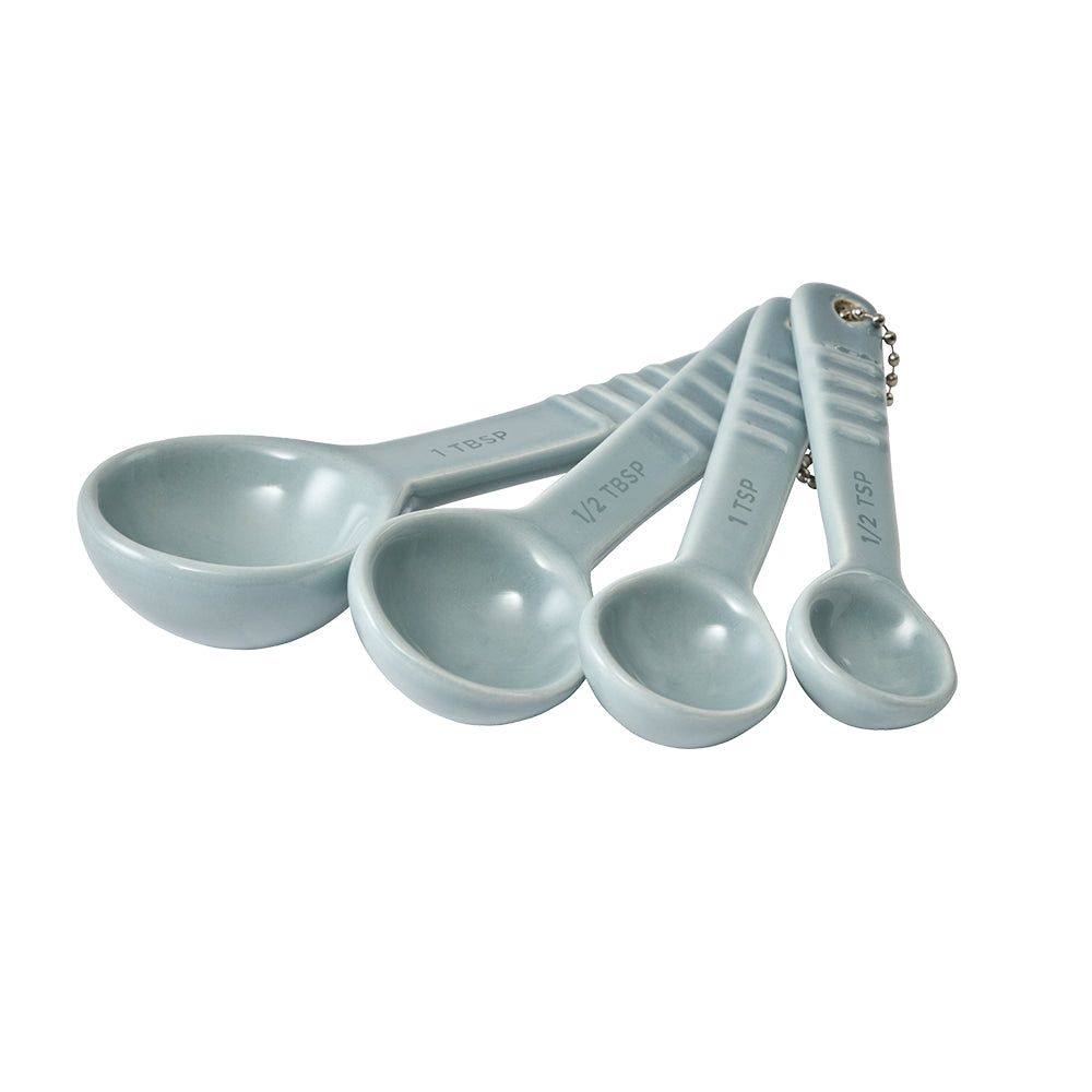 Baccarat Le Connoisseur Set of 4 Measuring Spoons Mist